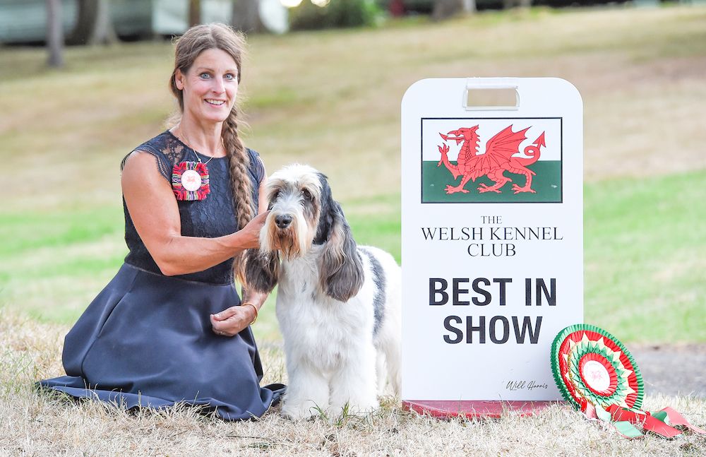 Welsh Kennel Club